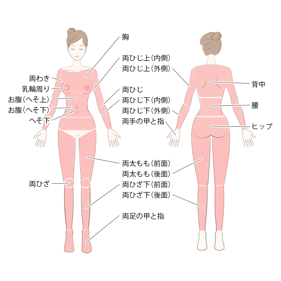 全身脱毛部位