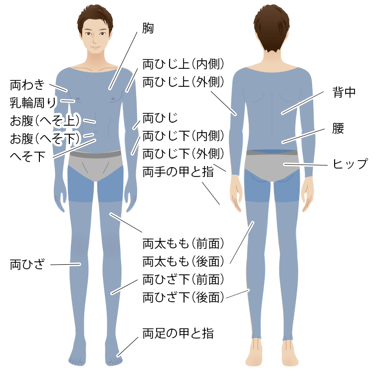 メンズ脱毛（全身脱毛）範囲